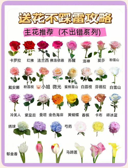 常见鲜花代表的含义,各种鲜花象征着什么?-第3张图片-优品飞百科 常见鲜花代表的含义,各种鲜花象征着什么?-第3张图片-优品飞百科