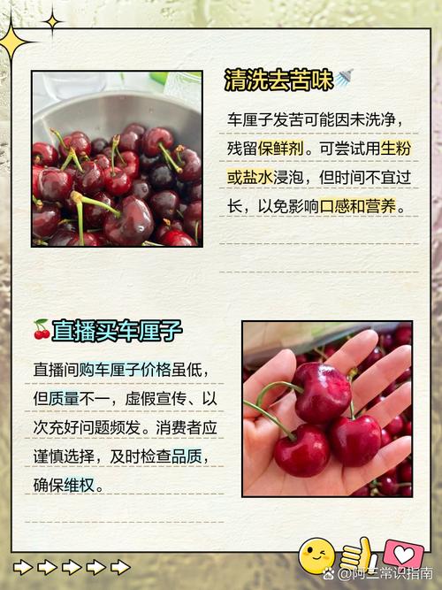 苦樱桃的养殖方法和注意事项，苦樱桃的药用价值-第3张图片-优品飞百科