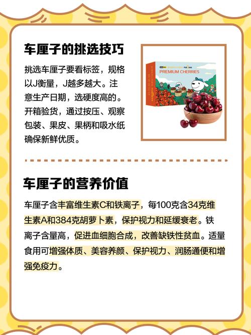 苦樱桃的养殖方法和注意事项，苦樱桃的药用价值-第5张图片-优品飞百科