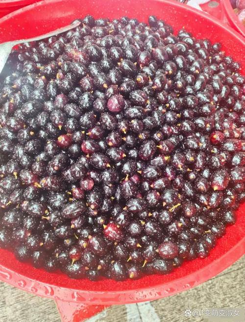 苦樱桃的养殖方法和注意事项，苦樱桃的药用价值-第8张图片-优品飞百科