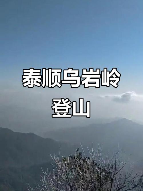 泰顺天气预报？泰顺天气预报15天？-第4张图片-优品飞百科