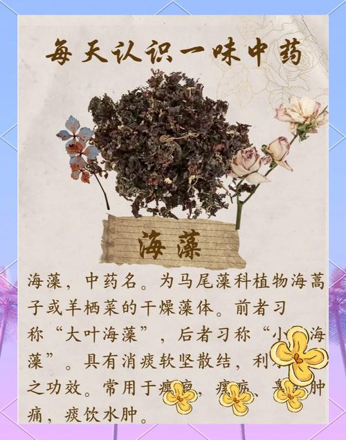 萱草的功效及作用，萱草的功效作用性味归经？-第6张图片-优品飞百科