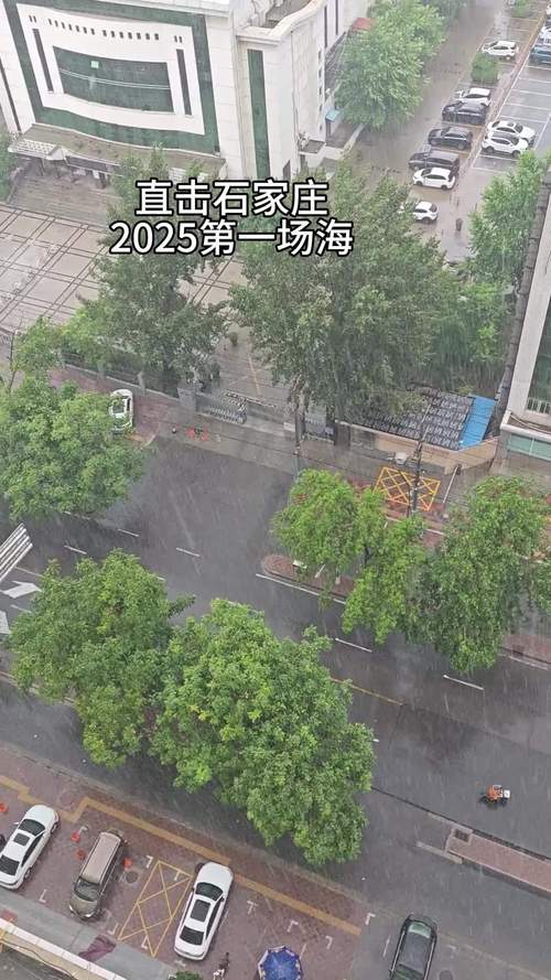 灵寿天气预报，今天灵寿天气预报？-第2张图片-优品飞百科