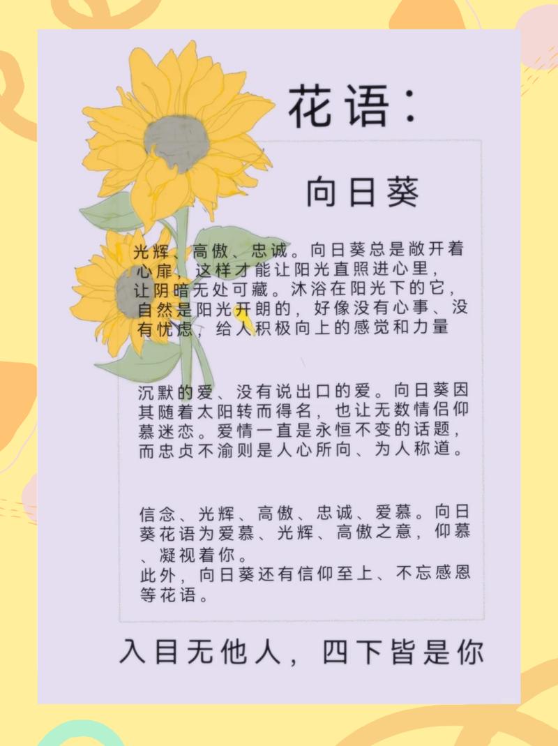 向日葵的花语和传说?向日葵的花语和寓意百度百科?-第3张图片-优品飞百科 向日葵的花语和传说?向日葵的花语和寓意百度百科?-第3张图片-优品飞百科
