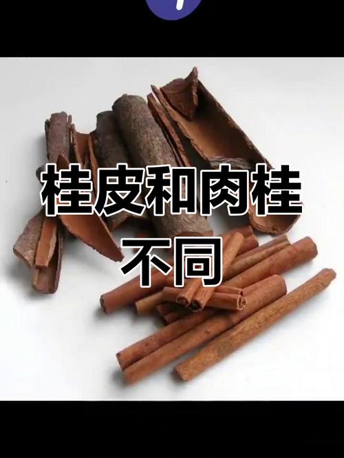 肉桂是桂皮吗，肉桂和桂皮的区别？肉桂 桂皮区别？-第1张图片-优品飞百科