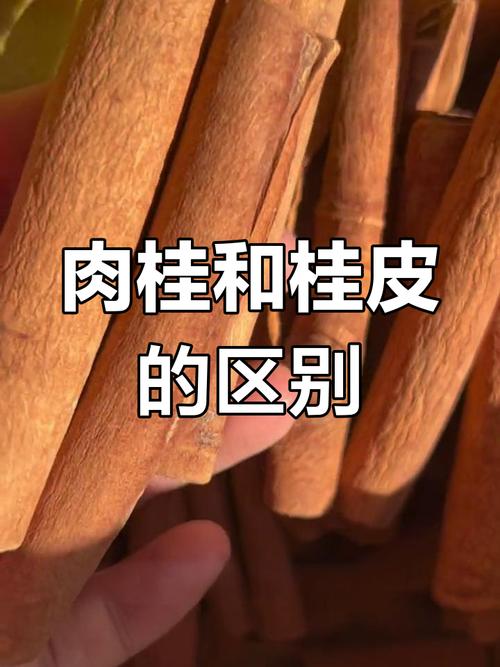 肉桂是桂皮吗，肉桂和桂皮的区别？肉桂 桂皮区别？-第2张图片-优品飞百科