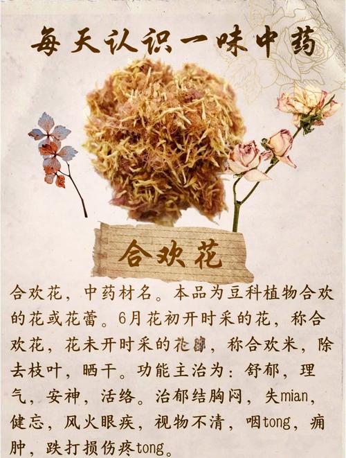 合欢花的功效与作用，合欢花的功效与作用主要治什么病？-第2张图片-优品飞百科
