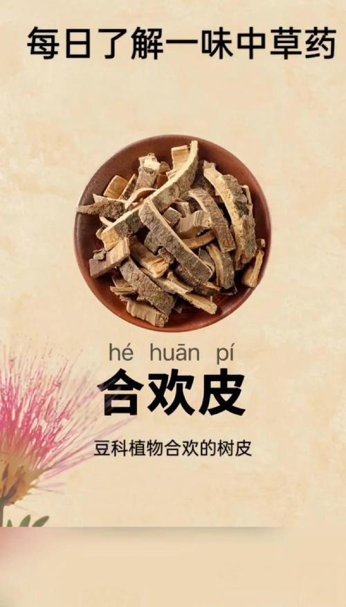 合欢花的功效与作用，合欢花的功效与作用主要治什么病？-第7张图片-优品飞百科