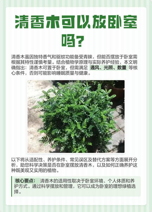 清香木可以放在卧室吗，清香木可以放在卧室吗?-第2张图片-优品飞百科