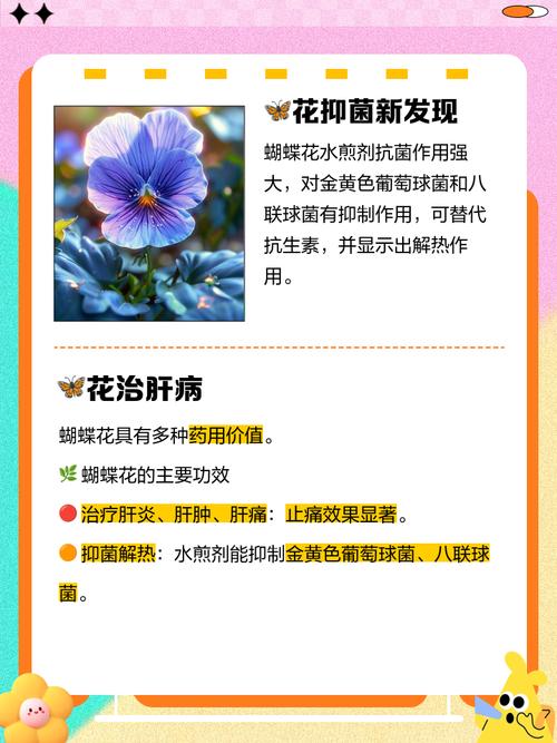 白蝴蝶花花语？白蝴蝶花寓意？-第1张图片-优品飞百科