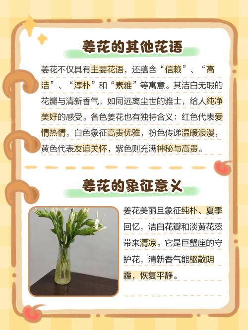 白蝴蝶花花语？白蝴蝶花寓意？-第3张图片-优品飞百科