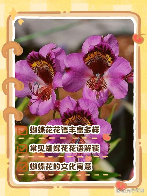 白蝴蝶花花语？白蝴蝶花寓意？-第7张图片-优品飞百科