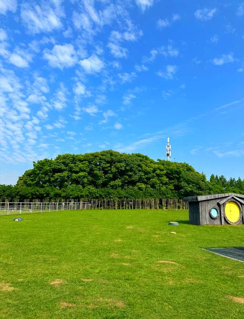 高淳15天天气预报，高淳15天天气预报实况？-第4张图片-优品飞百科