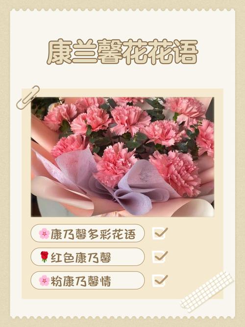 康乃馨的花语是什么,适合送什么人?康乃馨的花语是啥意思?-第1张图片-优品飞百科 康乃馨的花语是什么,适合送什么人?康乃馨的花语是啥意思?-第1张图片-优品飞百科