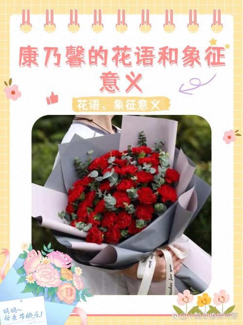 康乃馨的花语是什么,适合送什么人?康乃馨的花语是啥意思?-第3张图片-优品飞百科 康乃馨的花语是什么,适合送什么人?康乃馨的花语是啥意思?-第3张图片-优品飞百科