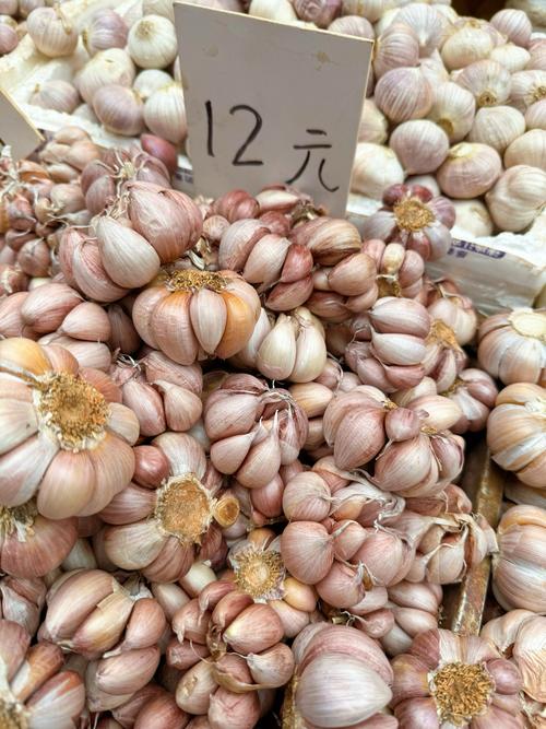 大蒜费用，大蒜多少钱一斤？大蒜多少钱一斤市场价？-第2张图片-优品飞百科