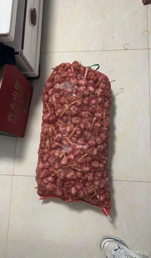 大蒜费用，大蒜多少钱一斤？大蒜多少钱一斤市场价？-第4张图片-优品飞百科