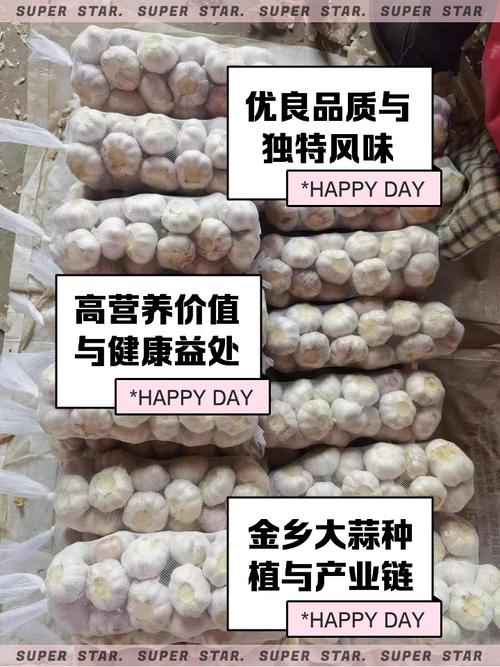 大蒜费用，大蒜多少钱一斤？大蒜多少钱一斤市场价？-第6张图片-优品飞百科