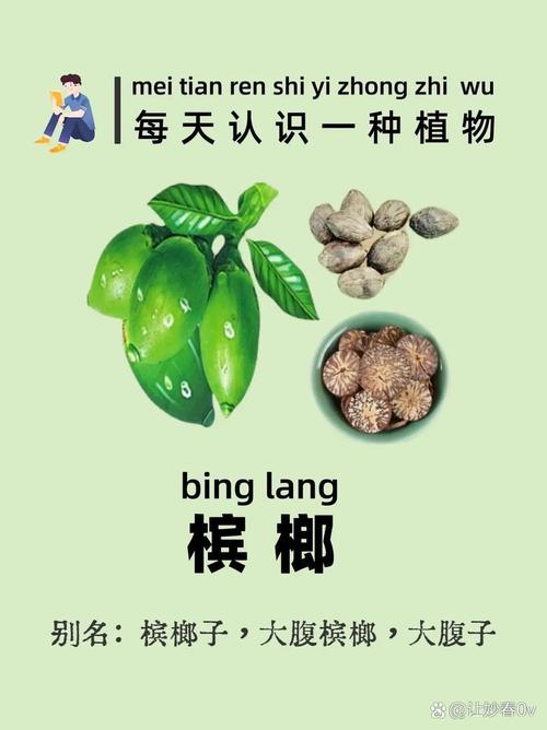 槟榔的危害与作用，槟榔的危害与作用图片-第2张图片-优品飞百科