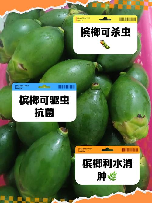 槟榔的危害与作用，槟榔的危害与作用图片-第8张图片-优品飞百科