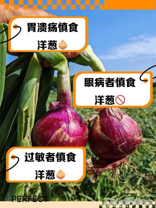 洋葱的功效与作用,洋葱不能和什么一起吃?洋葱禁忌和哪些菜同吃?-第3张图片-优品飞百科 洋葱的功效与作用,洋葱不能和什么一起吃?洋葱禁忌和哪些菜同吃?-第3张图片-优品飞百科