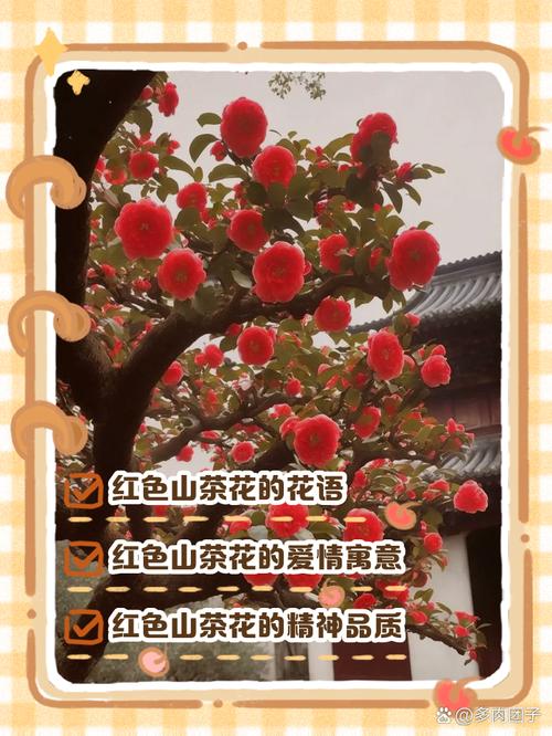 山茶花怎么养,山茶花的花语,山茶花如何养护?掌握这几点-第2张图片-优品飞百科 山茶花怎么养,山茶花的花语,山茶花如何养护?掌握这几点-第2张图片-优品飞百科