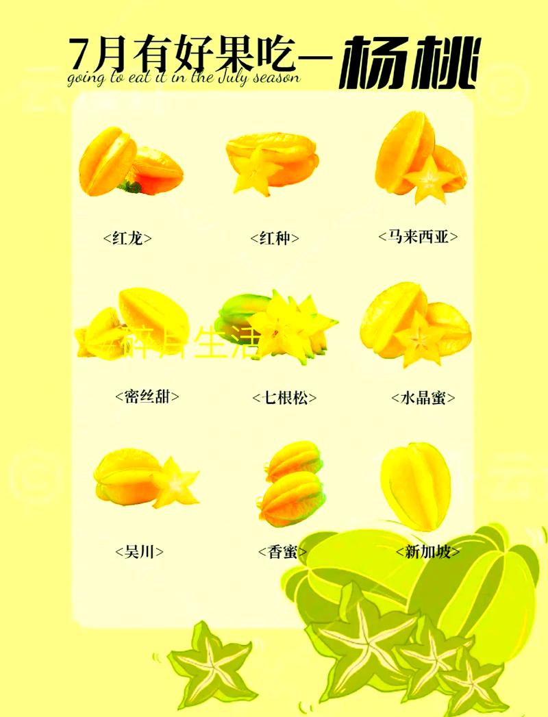 杨桃怎么吃有什么禁忌，不能跟什么一起吃？杨桃怎么样不能吃？-第2张图片-优品飞百科