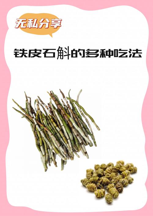 铁皮石斛功效与作用，有什么禁忌？铁皮石斛的功效与作用及费用？