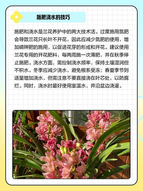 兰花在家里养好吗，为什么兰花不能养在家里，兰花不能养在室内吗？-第2张图片-优品飞百科