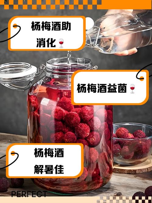 杨梅酒怎么做，饮用的好处，杨梅酒怎么做,饮用的好处是什么？-第2张图片-优品飞百科