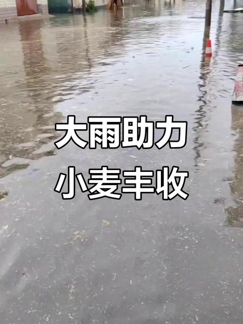 漯河市天气预报7天？漯河天气7天查询？-第3张图片-优品飞百科