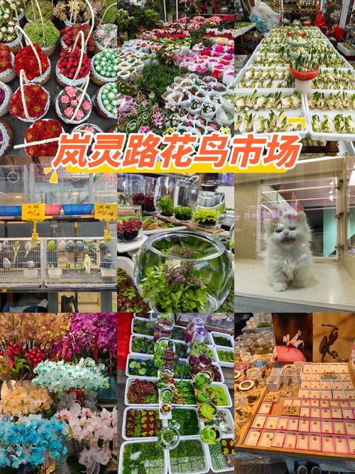 金华适合养什么花，市花和市树是什么，金华哪个花卉市场好？-第3张图片-优品飞百科