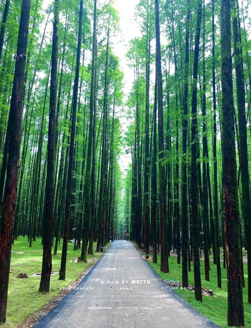 天气预报有那些标致，天气预报各种标志的含义？-第3张图片-优品飞百科