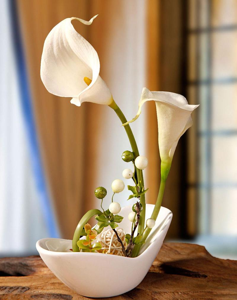 马蹄莲适合室内养吗？马蹄莲不进宅的原因？-第3张图片-优品飞百科