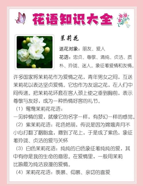 茉莉花花语？蓝色茉莉花花语？-第2张图片-优品飞百科