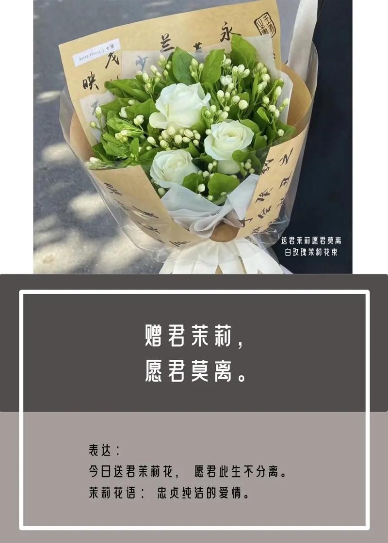茉莉花花语？蓝色茉莉花花语？-第4张图片-优品飞百科