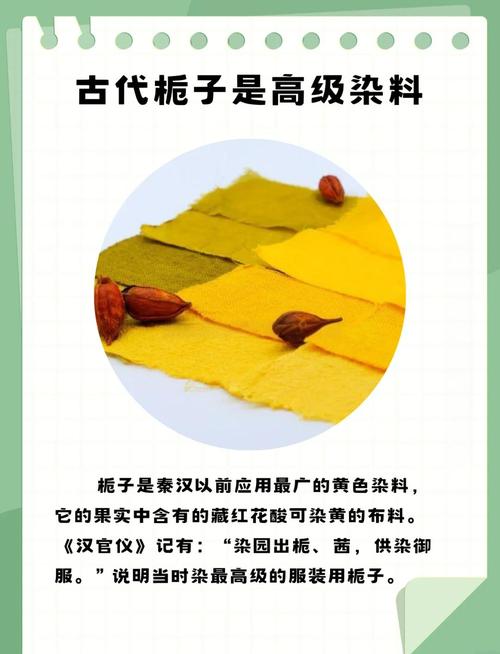 栀子花如何晒干食用，栀子花如何晒干食用比较好？-第3张图片-优品飞百科