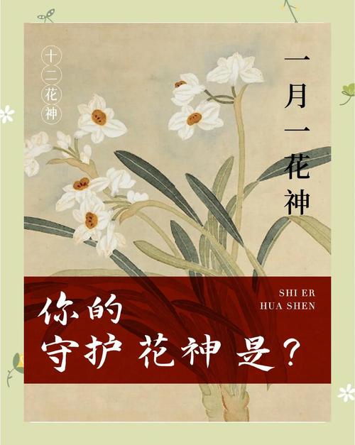 十二个月的花神和花语，十二个月花的顺序及花神-第2张图片-优品飞百科