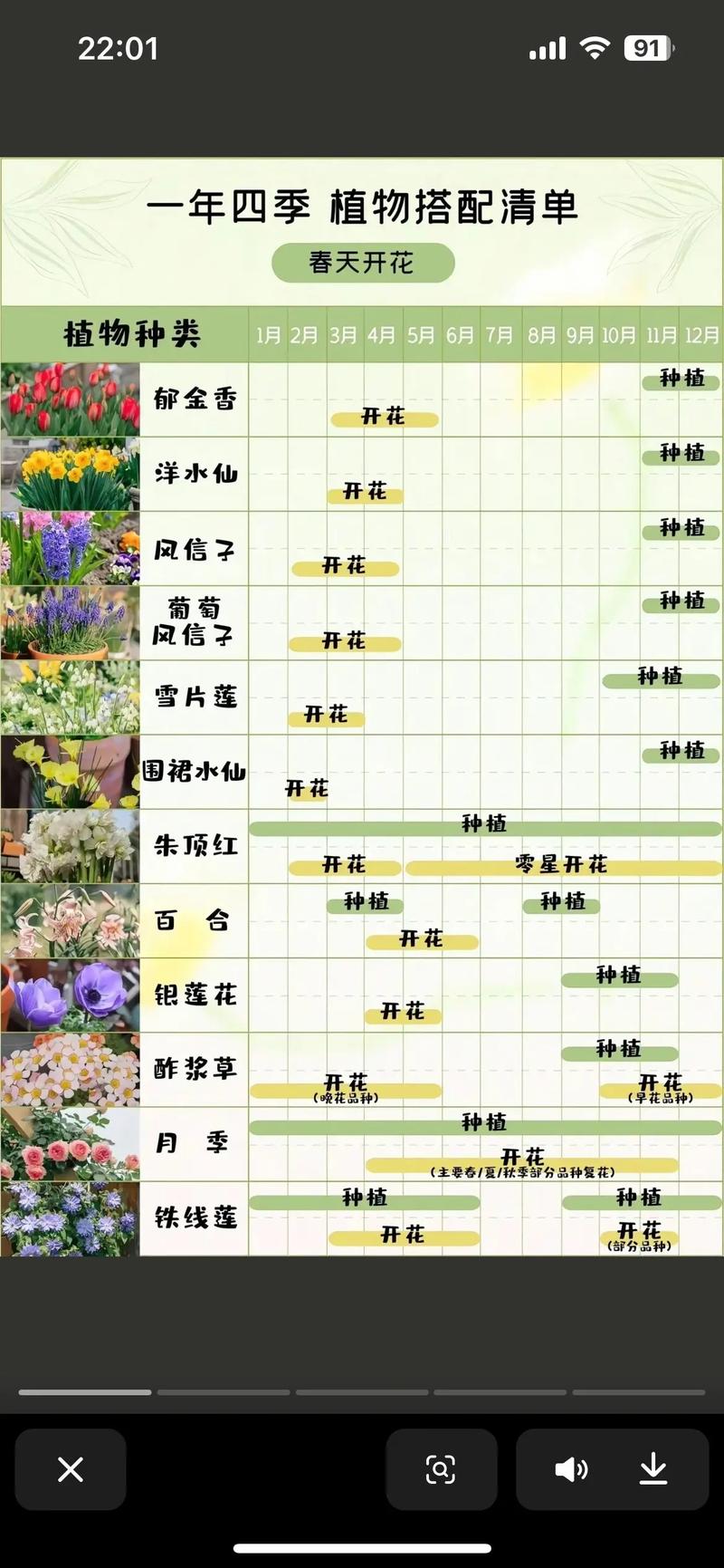 十二个月的花神和花语，十二个月花的顺序及花神-第4张图片-优品飞百科