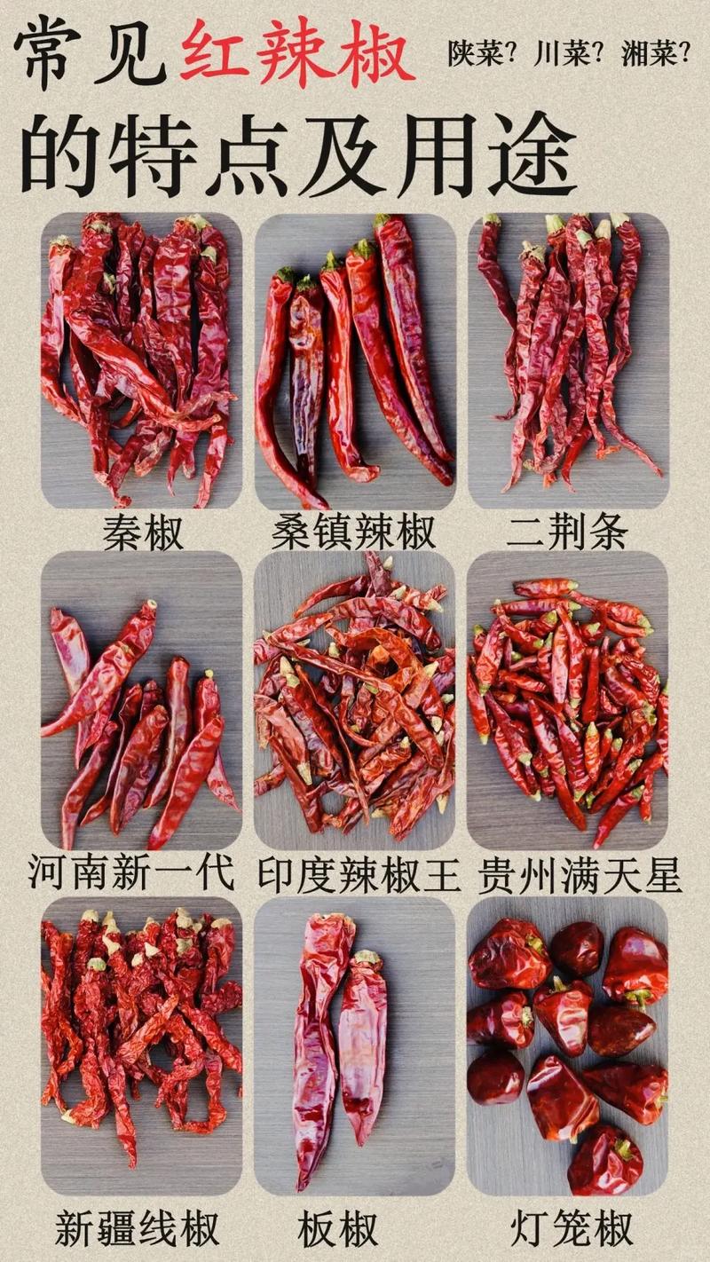 中国八大辣椒品种，中国八大辣椒品种图片