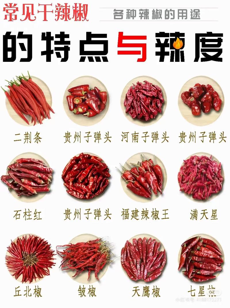 中国八大辣椒品种，中国八大辣椒品种图片-第6张图片-优品飞百科