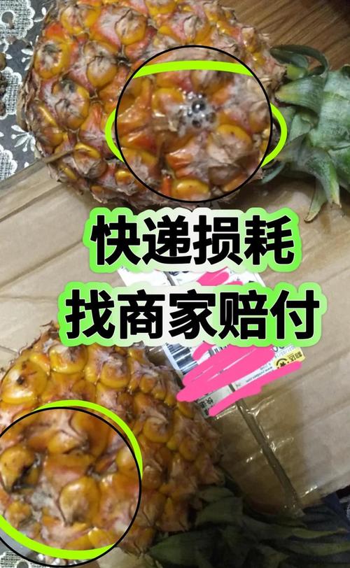 孕妇可以吃凤梨吗，菠萝的功效与作用？孕妇能不能吃凤梨和菠萝的区别？-第3张图片-优品飞百科