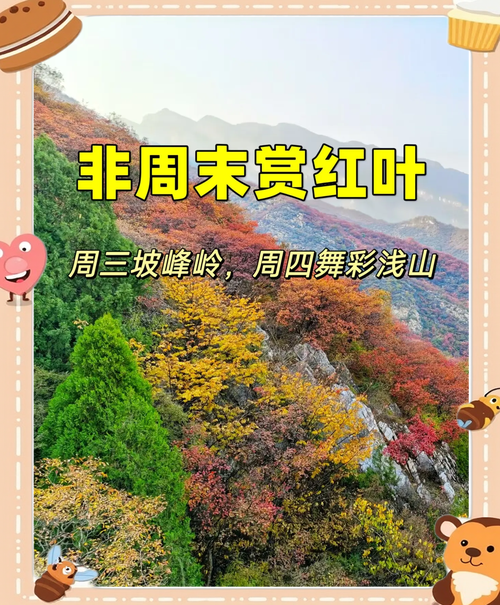 涉县庄子岭看红叶时间，涉县庄子岭风景区电话-第2张图片-优品飞百科