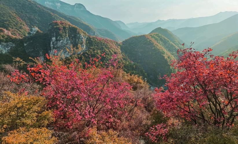 涉县庄子岭看红叶时间，涉县庄子岭风景区电话-第5张图片-优品飞百科