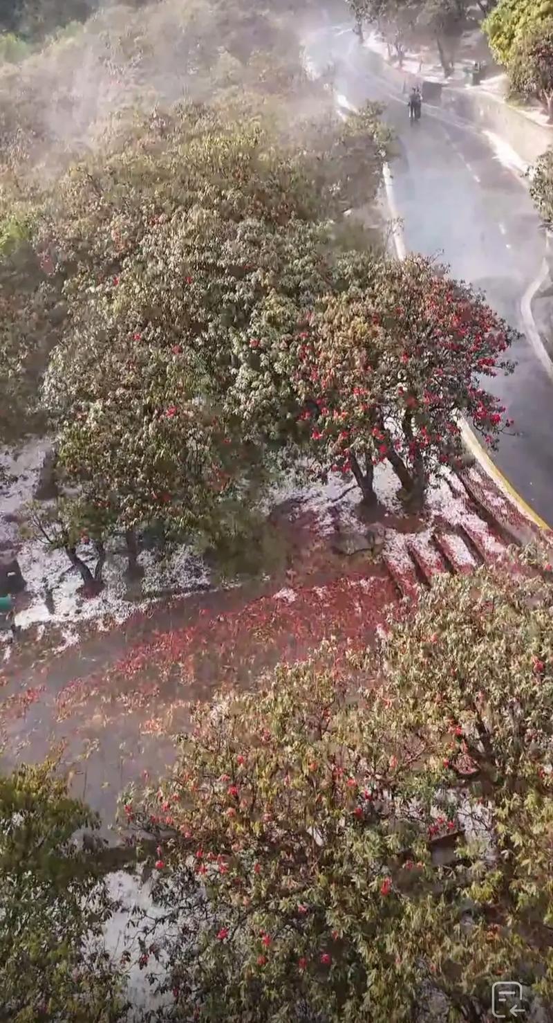 毕节天气预报15天？毕节天气预报15天最新消息？-第2张图片-优品飞百科