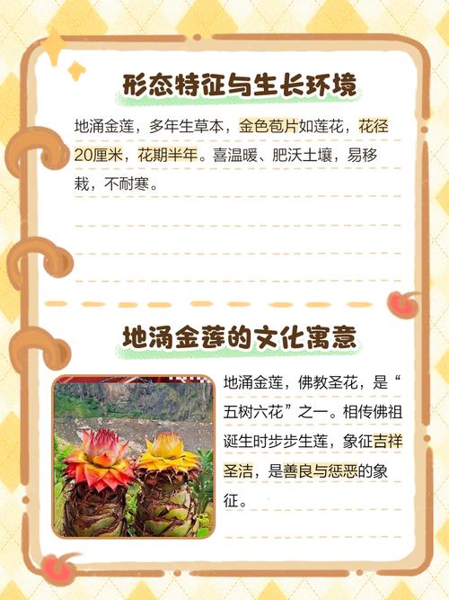 地涌金莲的作用，地涌金莲中药