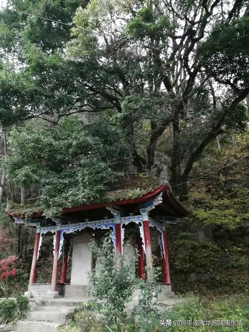 竹园镇天气预报，广元市竹园镇天气预报-第3张图片-优品飞百科