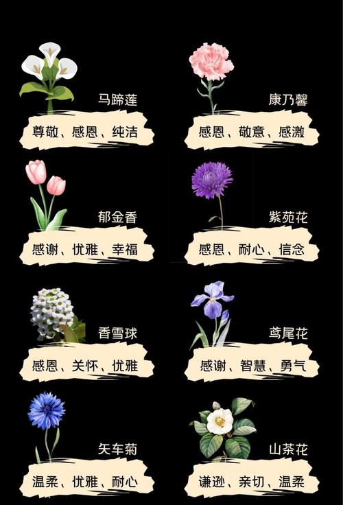 香水草的花语和文化传说，香水草的花语和文化传说是什么-第1张图片-优品飞百科