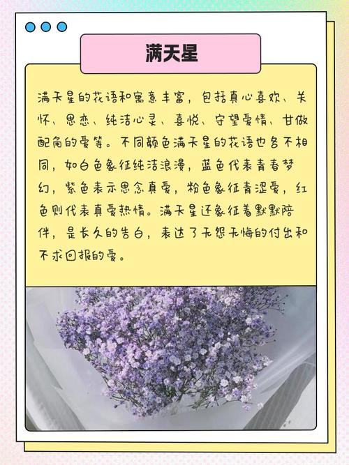 香水草的花语和文化传说，香水草的花语和文化传说是什么-第4张图片-优品飞百科