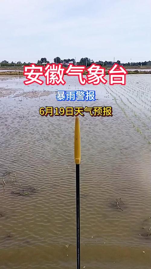 濉溪一周天气预报，濉溪天气预报24小时1-第1张图片-优品飞百科